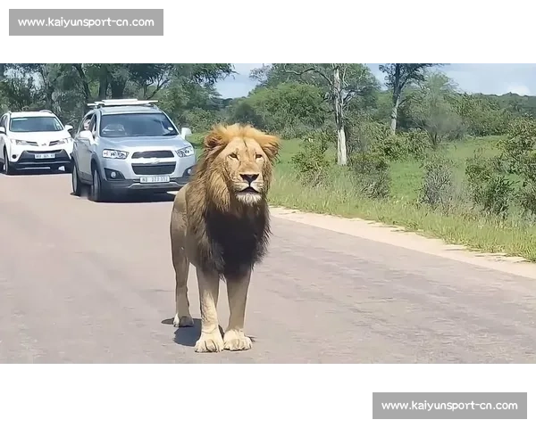 索罗・西科亚加冕全美冠军:实力碾压,何须 “YEET” 狂欢? 索罗・西科亚加冕全美冠军:实力碾压,何须 “YEET” 狂欢?